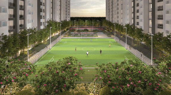 For Sporting Thrill & Activity